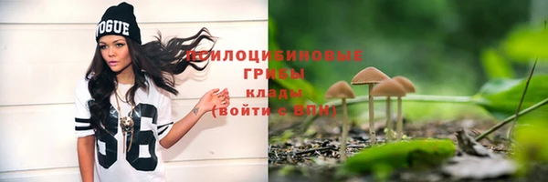 ГАЛЛЮЦИНОГЕННЫЕ ГРИБЫ Дмитров