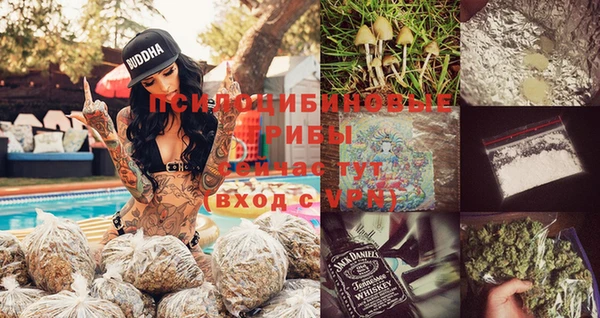 2c-b Дмитровск