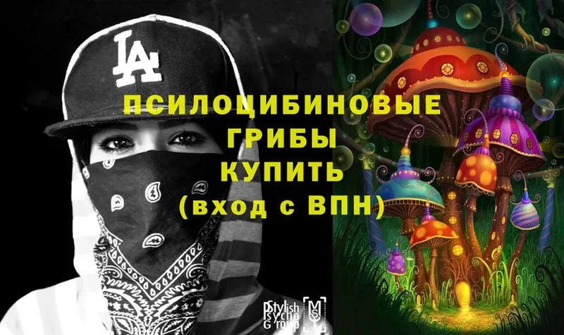 сколько стоит  Енисейск  Галлюциногенные грибы Magic Shrooms 